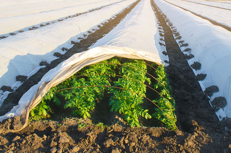 tarim-ve-seracilik-1